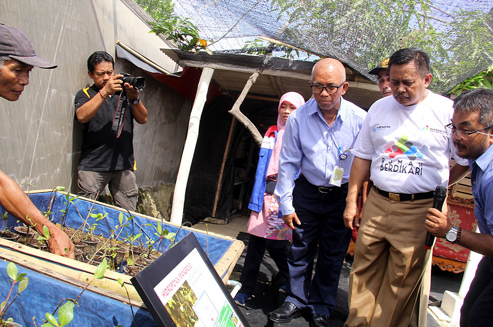 Mangrove Pemkab Indramayu Pertamina Balongan Tedy