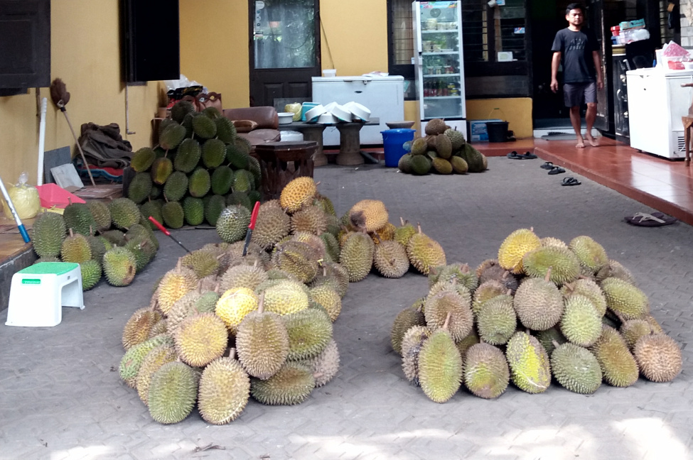 durian perwira sinapeul majalengka