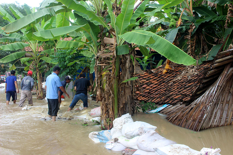 Banjir Desa Plumbon Indramayu Sungai Cimanuk Nafis (1)