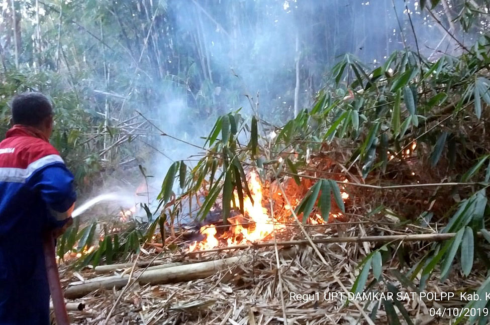 04102019-Kebakaran Lahan Bambu Kuningan Andri (2)