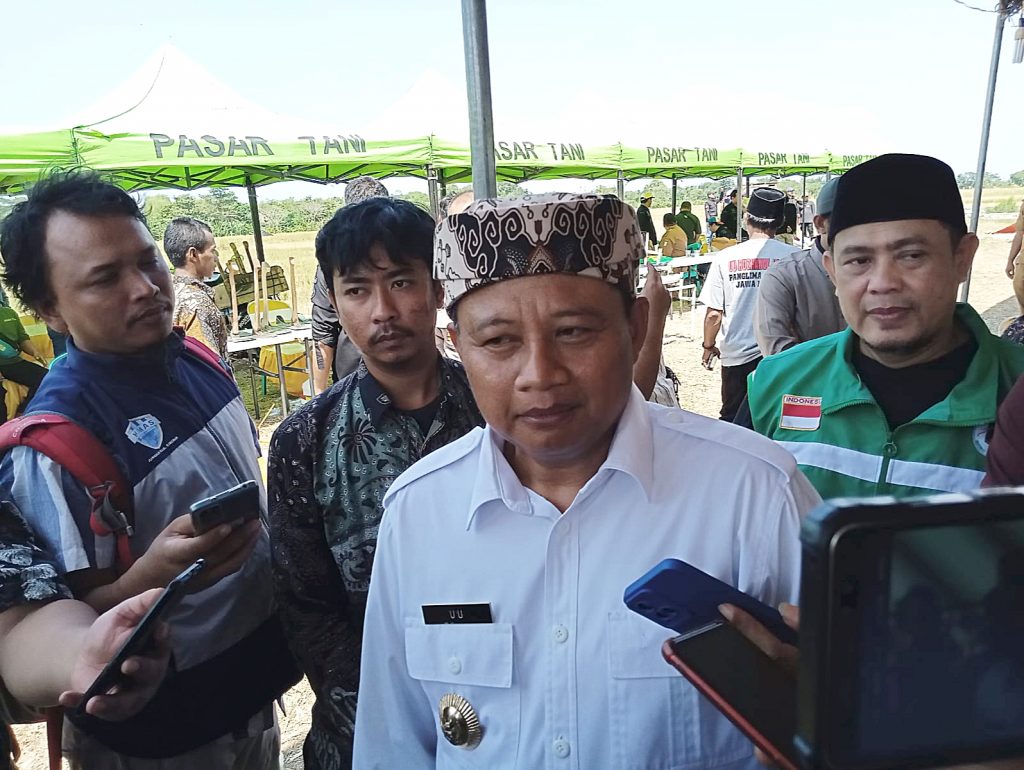 Caption : Wakil Gubernur Jawa Barat, Uu Ruzhanul Ulum/Kang Uu saat meninjau panen raya padi di Kabupaten Cirebon. Foto : Joni