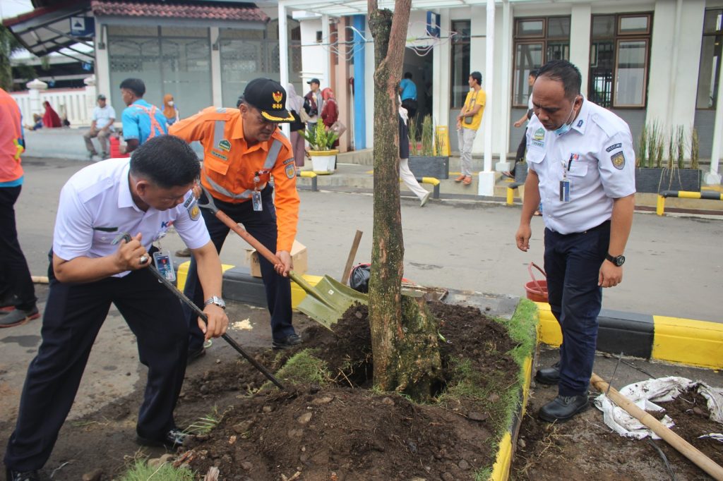 Caption : Pegawai PT KAI Daop 3 Cirebon saat melakukan penanaman pohon pule di lingkungan Stasiun Cirebon, Senin (1/5/2023).